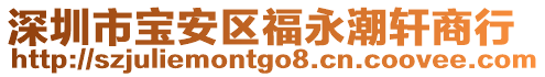 深圳市寶安區(qū)福永潮軒商行
