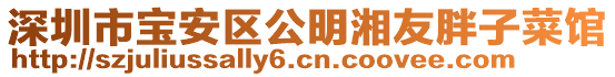 深圳市寶安區(qū)公明湘友胖子菜館