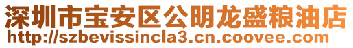深圳市寶安區公明龍盛糧油店