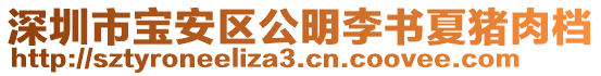 深圳市寶安區(qū)公明李書夏豬肉檔