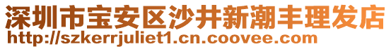 深圳市寶安區(qū)沙井新潮豐理發(fā)店