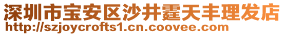 深圳市寶安區(qū)沙井霆天豐理發(fā)店