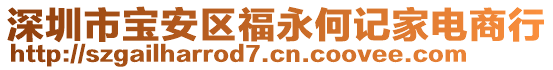 深圳市寶安區(qū)福永何記家電商行