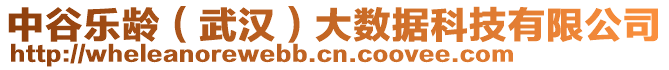 中谷樂齡（武漢）大數(shù)據(jù)科技有限公司