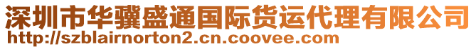 深圳市華驥盛通國際貨運代理有限公司