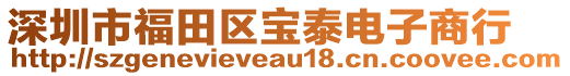 深圳市福田區(qū)寶泰電子商行