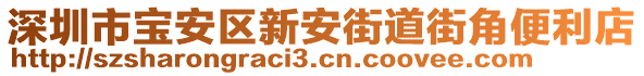 深圳市寶安區(qū)新安街道街角便利店