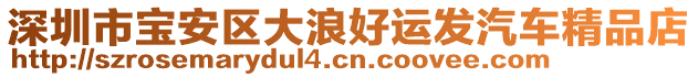 深圳市寶安區(qū)大浪好運(yùn)發(fā)汽車精品店