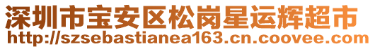 深圳市寶安區松崗星運輝超市