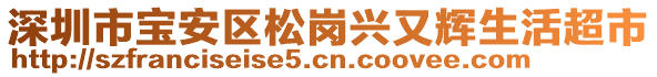 深圳市寶安區(qū)松崗興又輝生活超市