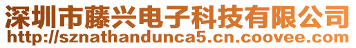 深圳市藤興電子科技有限公司