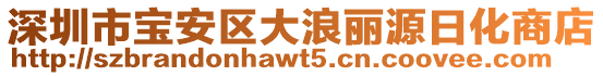 深圳市寶安區(qū)大浪麗源日化商店