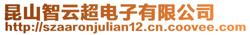 昆山智云超電子有限公司