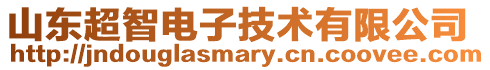 山東超智電子技術(shù)有限公司