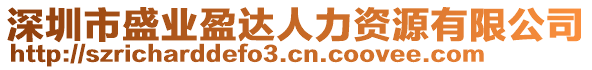 深圳市盛業(yè)盈達(dá)人力資源有限公司