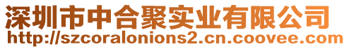 深圳市中合聚實業(yè)有限公司
