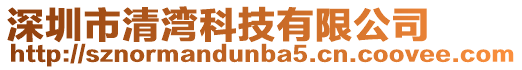 深圳市清灣科技有限公司