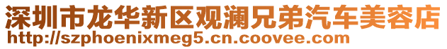 深圳市龍華新區(qū)觀瀾兄弟汽車美容店