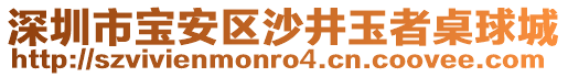 深圳市寶安區(qū)沙井玉者桌球城