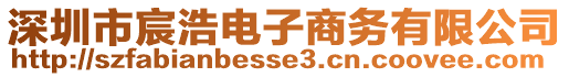 深圳市宸浩電子商務(wù)有限公司