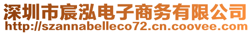 深圳市宸泓電子商務(wù)有限公司