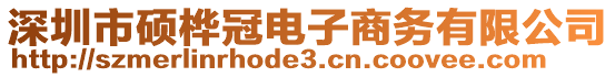 深圳市碩樺冠電子商務(wù)有限公司