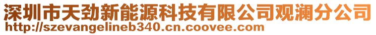 深圳市天勁新能源科技有限公司觀瀾分公司