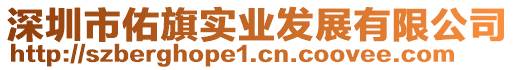 深圳市佑旗實(shí)業(yè)發(fā)展有限公司