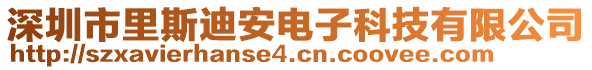 深圳市里斯迪安電子科技有限公司