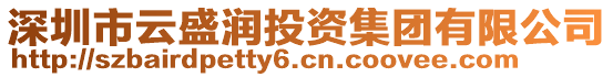 深圳市云盛潤投資集團有限公司