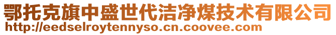 鄂托克旗中盛世代潔凈煤技術(shù)有限公司