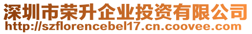 深圳市榮升企業(yè)投資有限公司