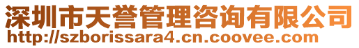 深圳市天譽管理咨詢有限公司