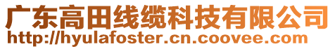 廣東高田線纜科技有限公司