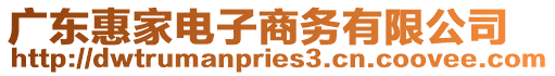 廣東惠家電子商務(wù)有限公司