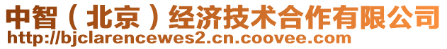 中智（北京）經(jīng)濟(jì)技術(shù)合作有限公司