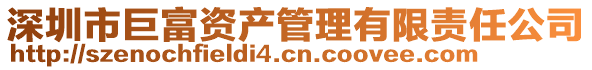 深圳市巨富資產(chǎn)管理有限責(zé)任公司
