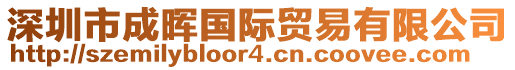 深圳市成暉國(guó)際貿(mào)易有限公司