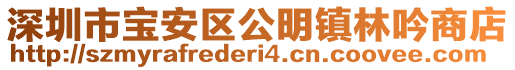 深圳市寶安區(qū)公明鎮(zhèn)林吟商店