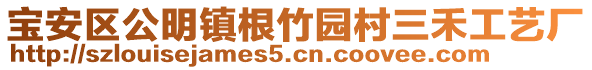 寶安區(qū)公明鎮(zhèn)根竹園村三禾工藝廠