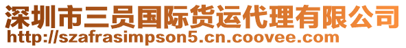 深圳市三員國際貨運(yùn)代理有限公司