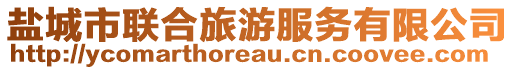 鹽城市聯(lián)合旅游服務有限公司