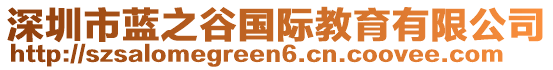 深圳市藍(lán)之谷國(guó)際教育有限公司