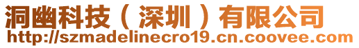 洞幽科技(深圳)有限公司