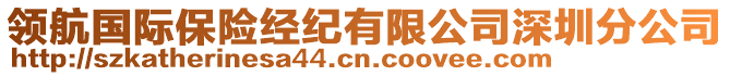 領(lǐng)航國(guó)際保險(xiǎn)經(jīng)紀(jì)有限公司深圳分公司