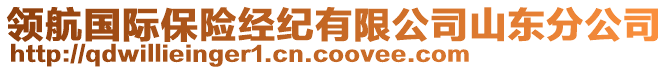 領(lǐng)航國(guó)際保險(xiǎn)經(jīng)紀(jì)有限公司山東分公司