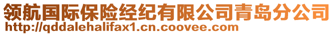 領(lǐng)航國際保險經(jīng)紀有限公司青島分公司