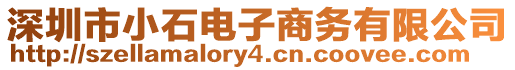 深圳市小石電子商務(wù)有限公司