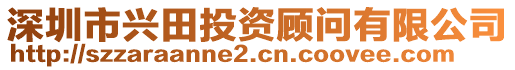 深圳市興田投資顧問有限公司