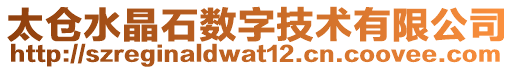 太倉(cāng)水晶石數(shù)字技術(shù)有限公司